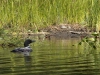 10x6.7_DM00796_DxO
