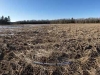 clary_lake_west_meadow_360_pan