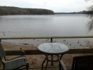 mergansers_ghodgkins-medium
