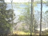 campic-muddywater