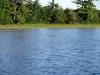 img_2224__medium_