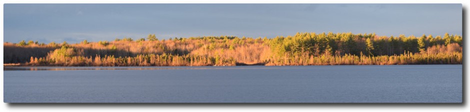 Clary Lake Association