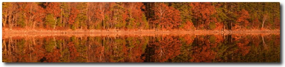 Clary Lake Association