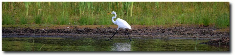Clary Lake Association