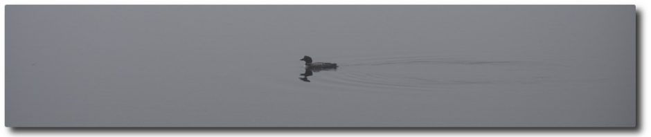 Clary Lake Association