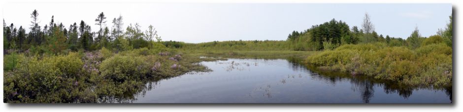 Clary Lake Association