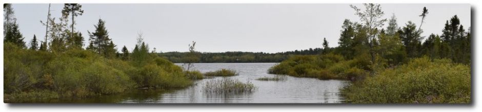 Clary Lake Association