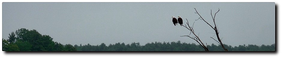 Clary Lake Association