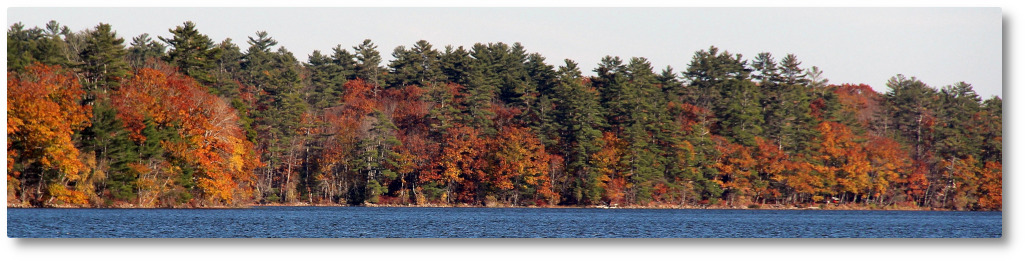 Clary Lake Association
