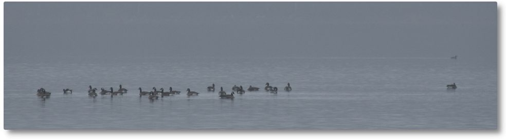 Clary Lake Association