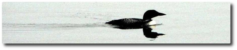 Clary Lake Association