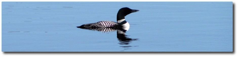 Clary Lake Association