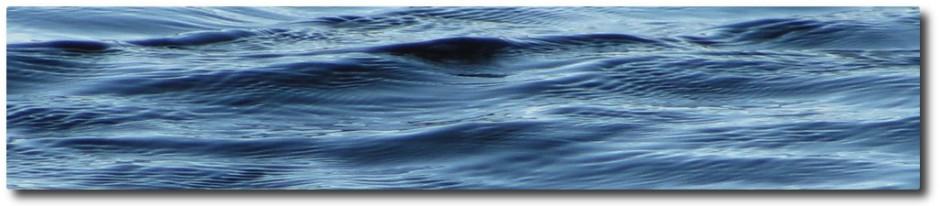 Clary Lake Association