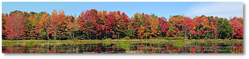 Clary Lake Association