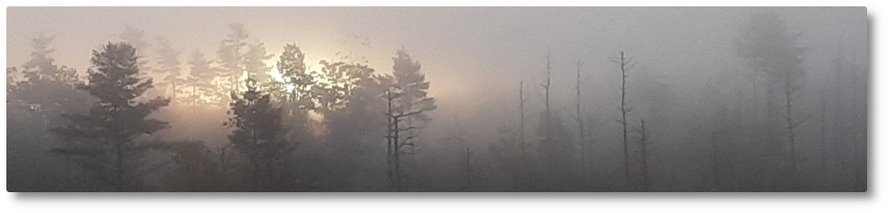 Clary Lake Association