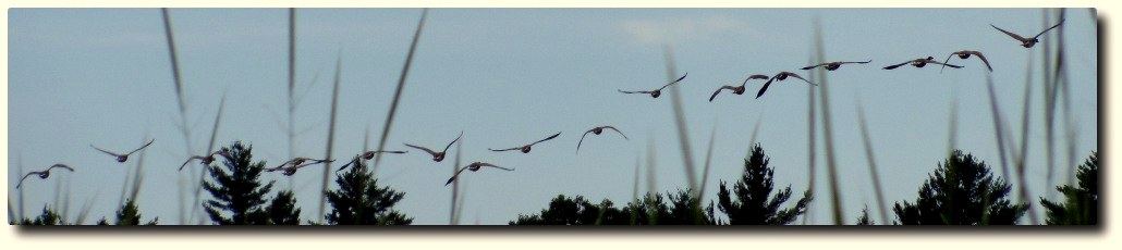 Clary Lake Association