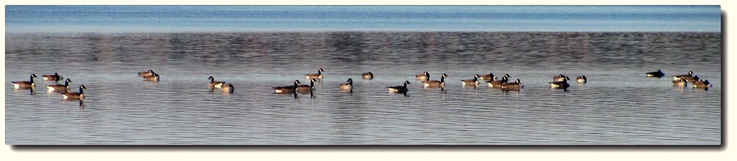 Clary Lake Association
