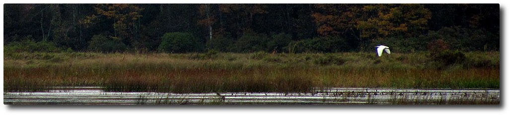 Clary Lake Association